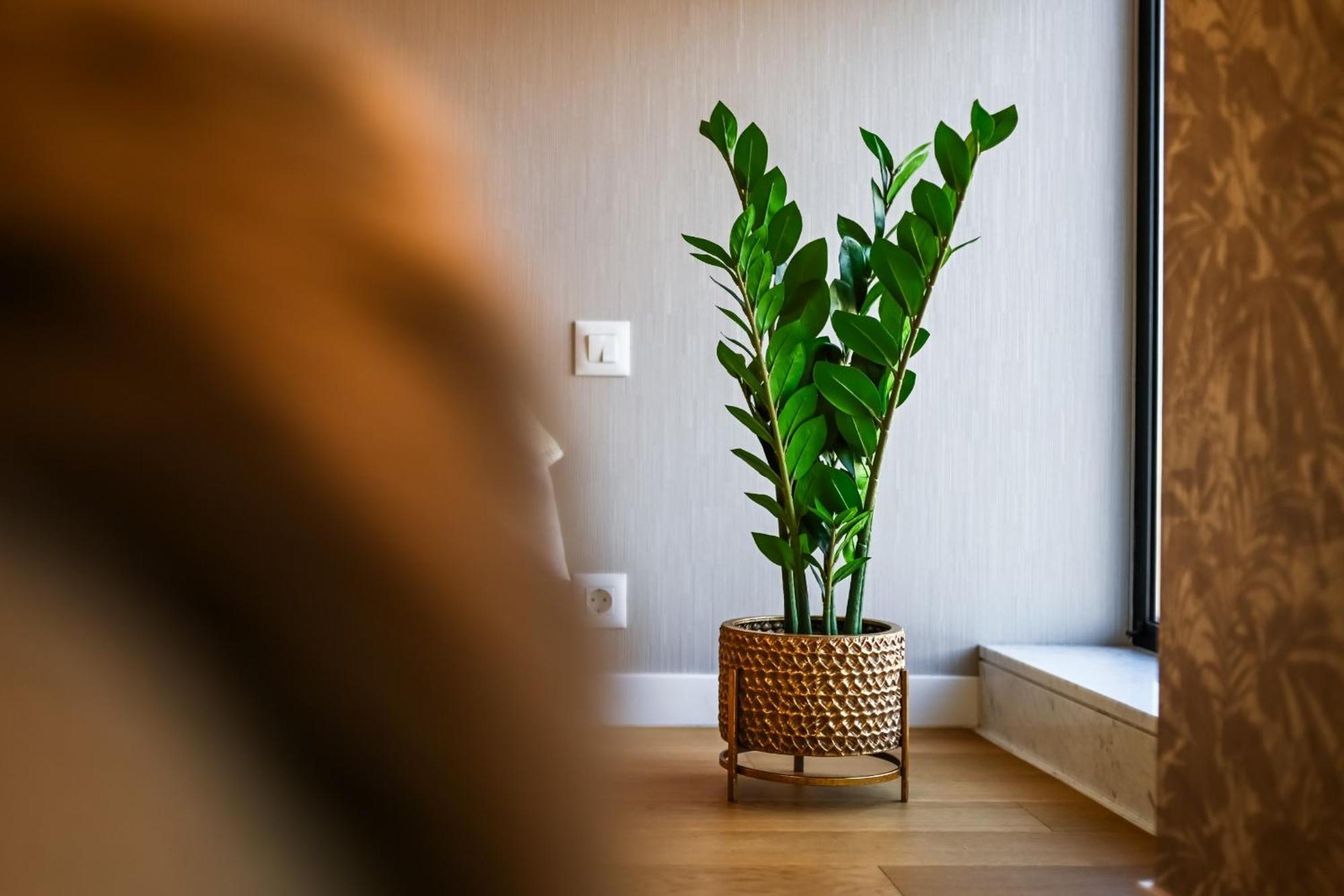 One Verdi Park Exclusive Apartments - Panoramic View & Private Parking Bukarest Zimmer foto